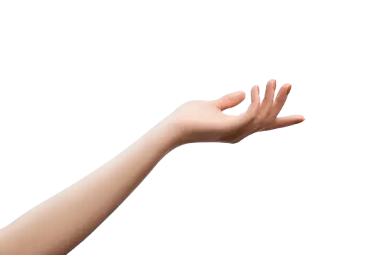 تسلم الأيادي